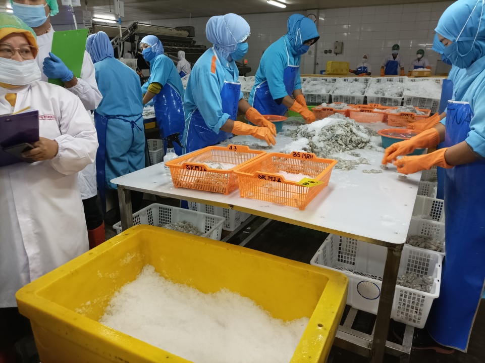 Seksi Pengembangan Produk